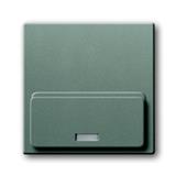 Busch-Jaeger 8254-803