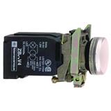 Schneider Electric XB4BV41