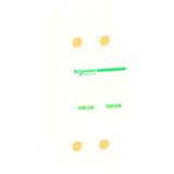 Schneider Electric 60161