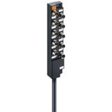 Lumberg Automation ASBM 10/LED 3-346/5 M