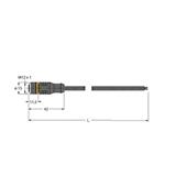 Turck RKC4T-2/TXL