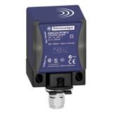 Schneider Electric XS9C2A2A1M12