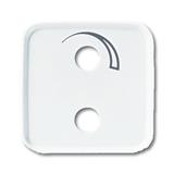 Busch-Jaeger 2548-214-53 B