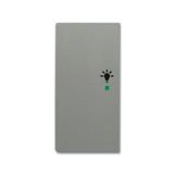 Busch-Jaeger 6231-21-803
