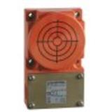 Schmersal IFL 50-385-10/01D