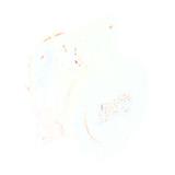 Schneider Electric 82927