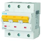 Eaton Electric PLHT-C125/3