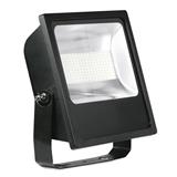 Aurora Lighting EN-FL100B/40