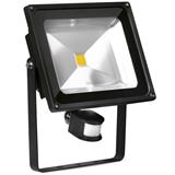 Aurora Lighting EN-FL50PIRA/40