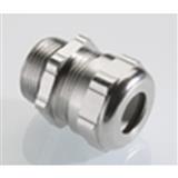 Pflitsch 22052p13S05ex