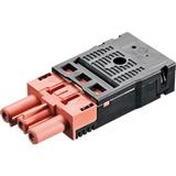 Bachmann 940.071