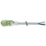 Murrelektronik 7000-12281-2331000