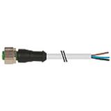 Murrelektronik 7000-12221-2141000