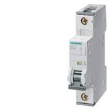 Siemens 5SY4113-6